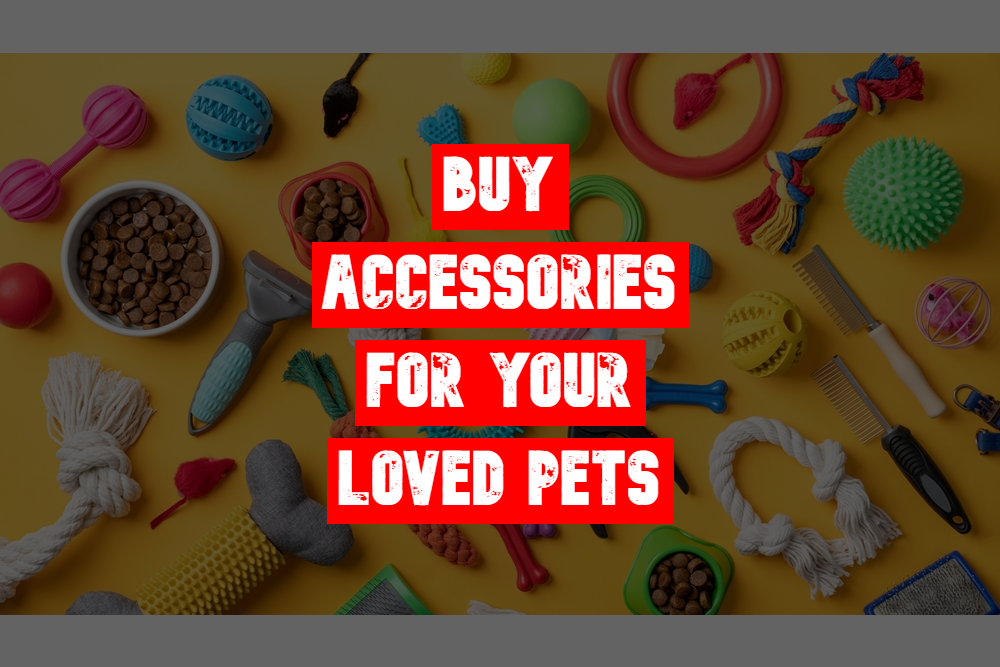 accessoiries for pets 1