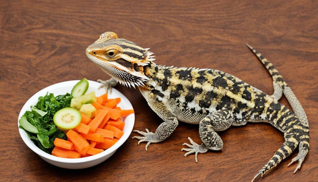 Eating habits of bearded dragon